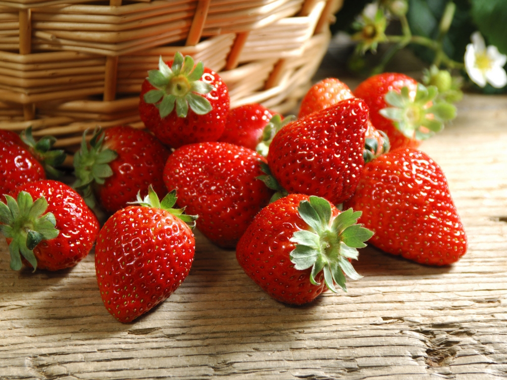 Ripe strawberries for 1024 x 768 resolution