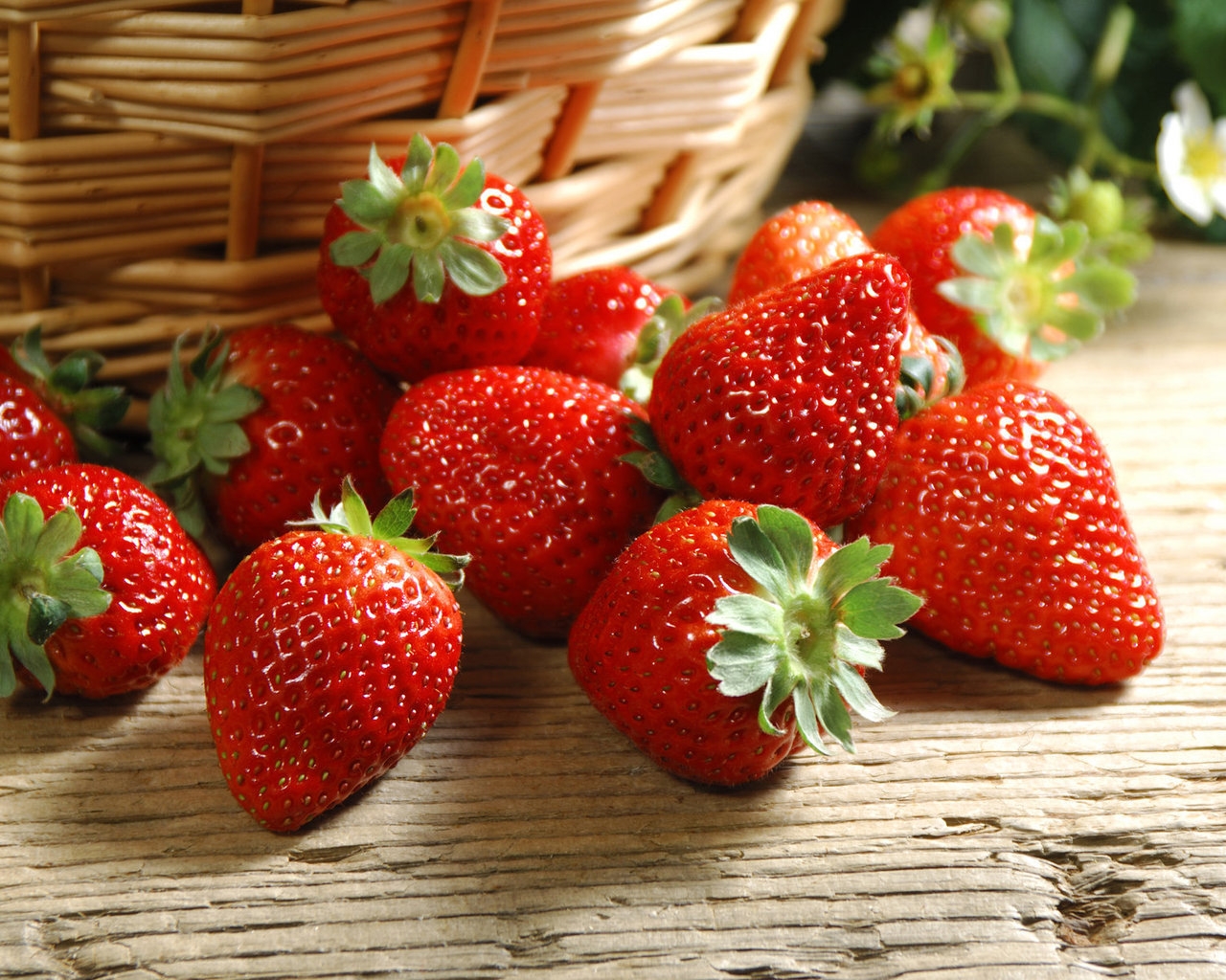 Ripe strawberries for 1280 x 1024 resolution