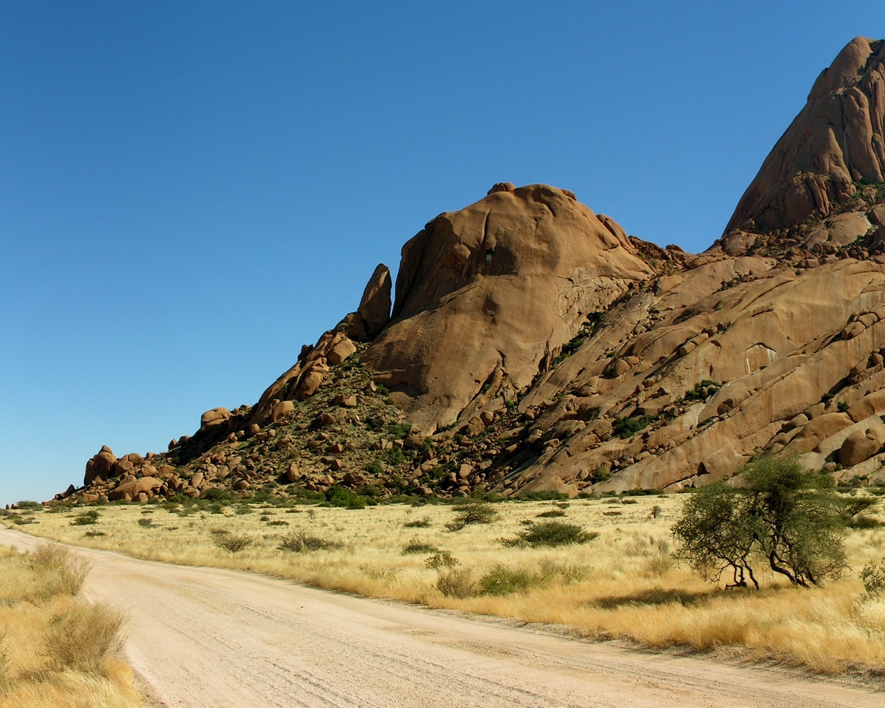 Road in Desert for 1280 x 1024 resolution
