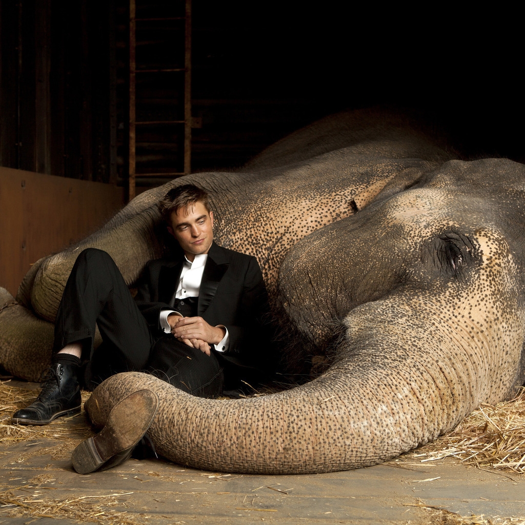 Robert Pattinson Close to Elephant for 1024 x 1024 iPad resolution