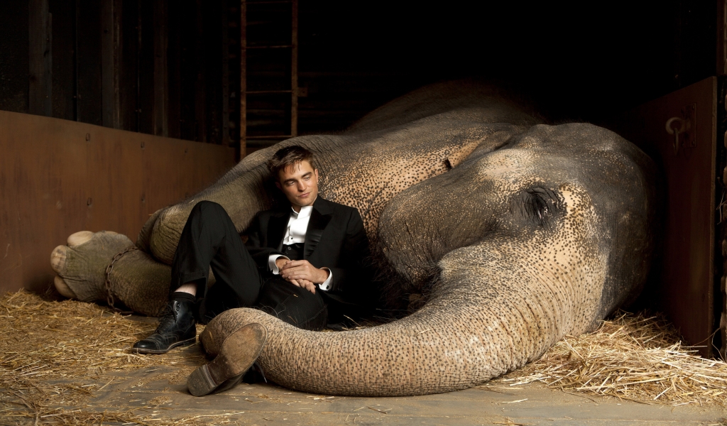 Robert Pattinson Close to Elephant for 1024 x 600 widescreen resolution