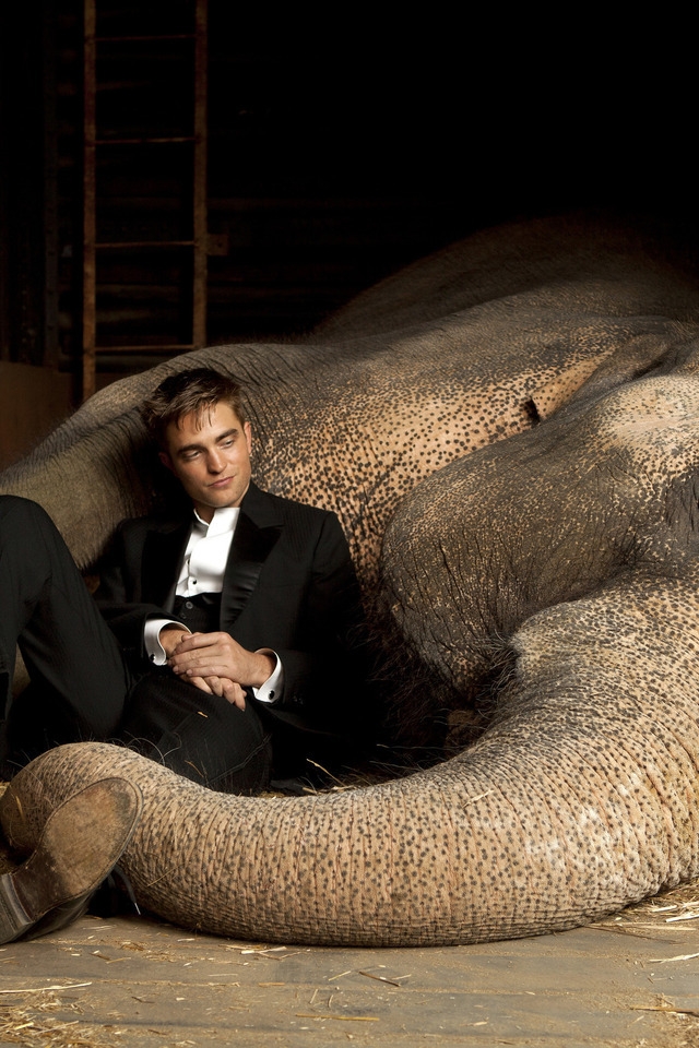 Robert Pattinson Close to Elephant for 640 x 960 iPhone 4 resolution
