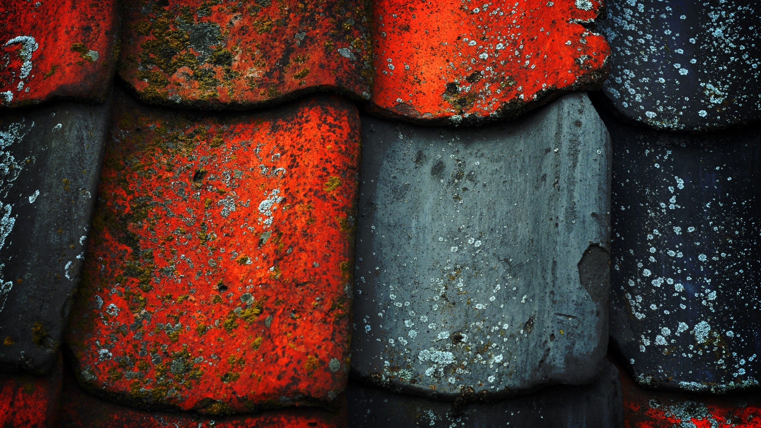 Roof Tile Texture for 2560x1440 HDTV resolution
