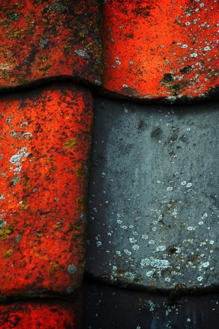 Roof Tile Texture for 320 x 480 iPhone resolution