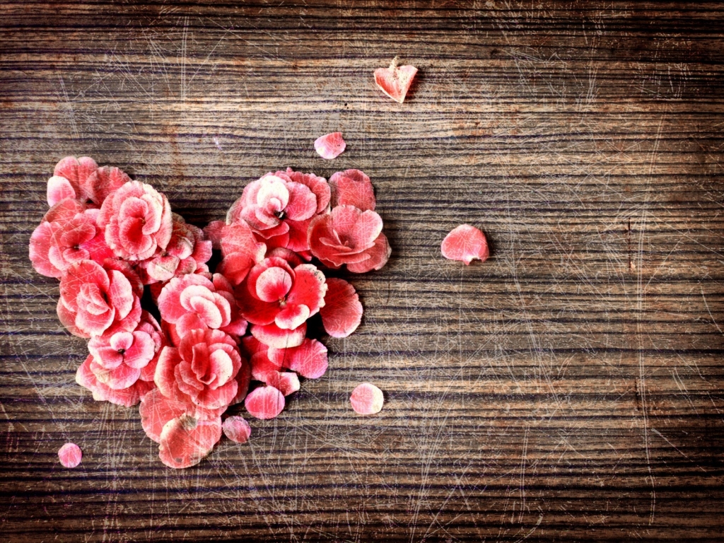 Rose Petals Heart for 1024 x 768 resolution