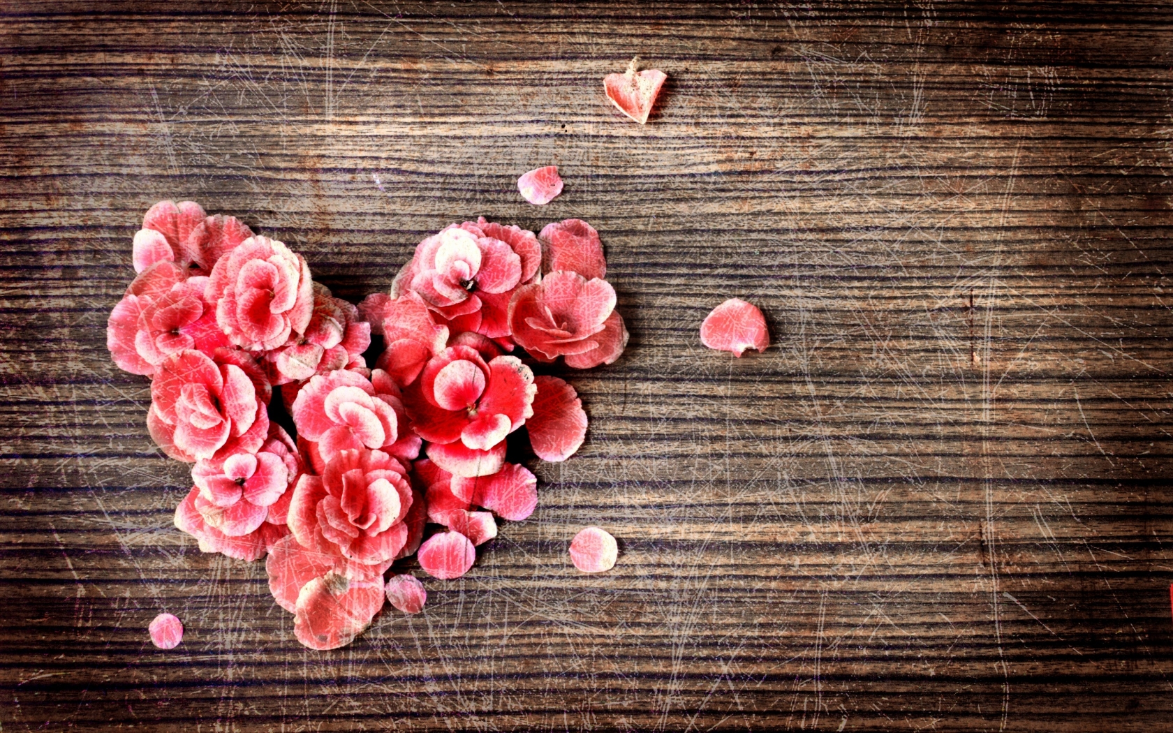 Rose Petals Heart for 1680 x 1050 widescreen resolution