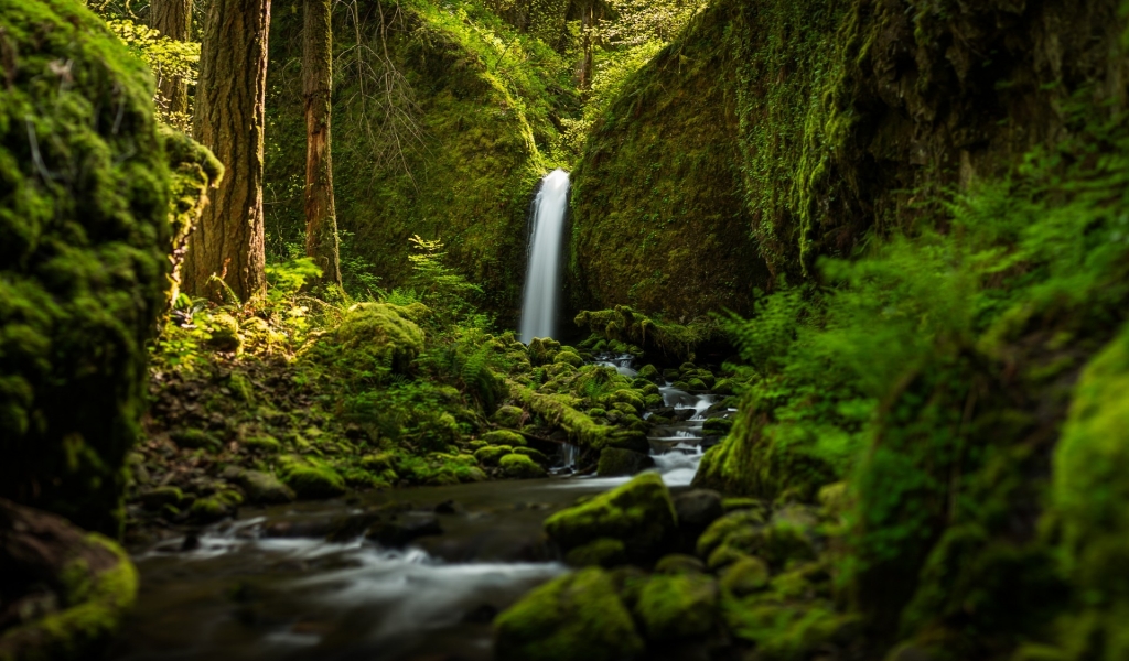 Ruckel Creek Falls for 1024 x 600 widescreen resolution