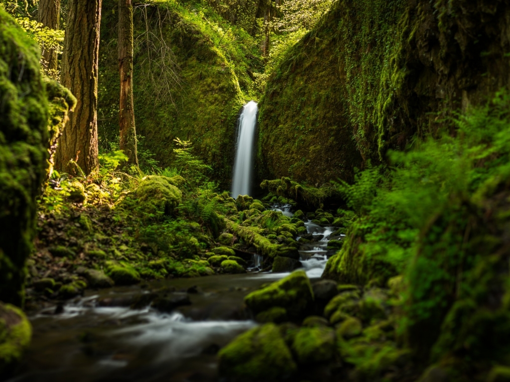 Ruckel Creek Falls for 1024 x 768 resolution