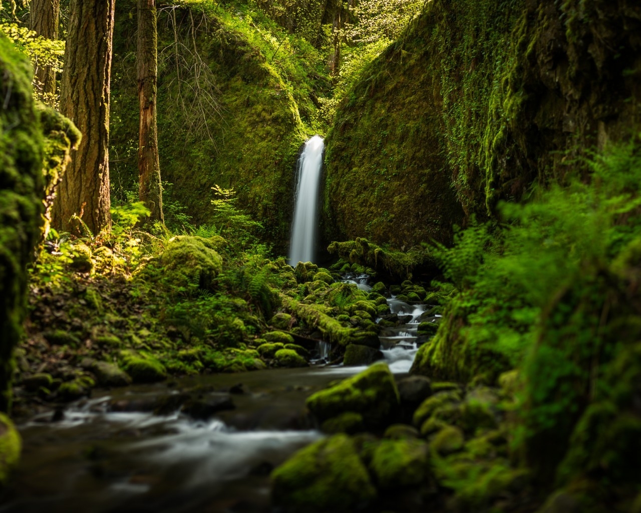Ruckel Creek Falls for 1280 x 1024 resolution