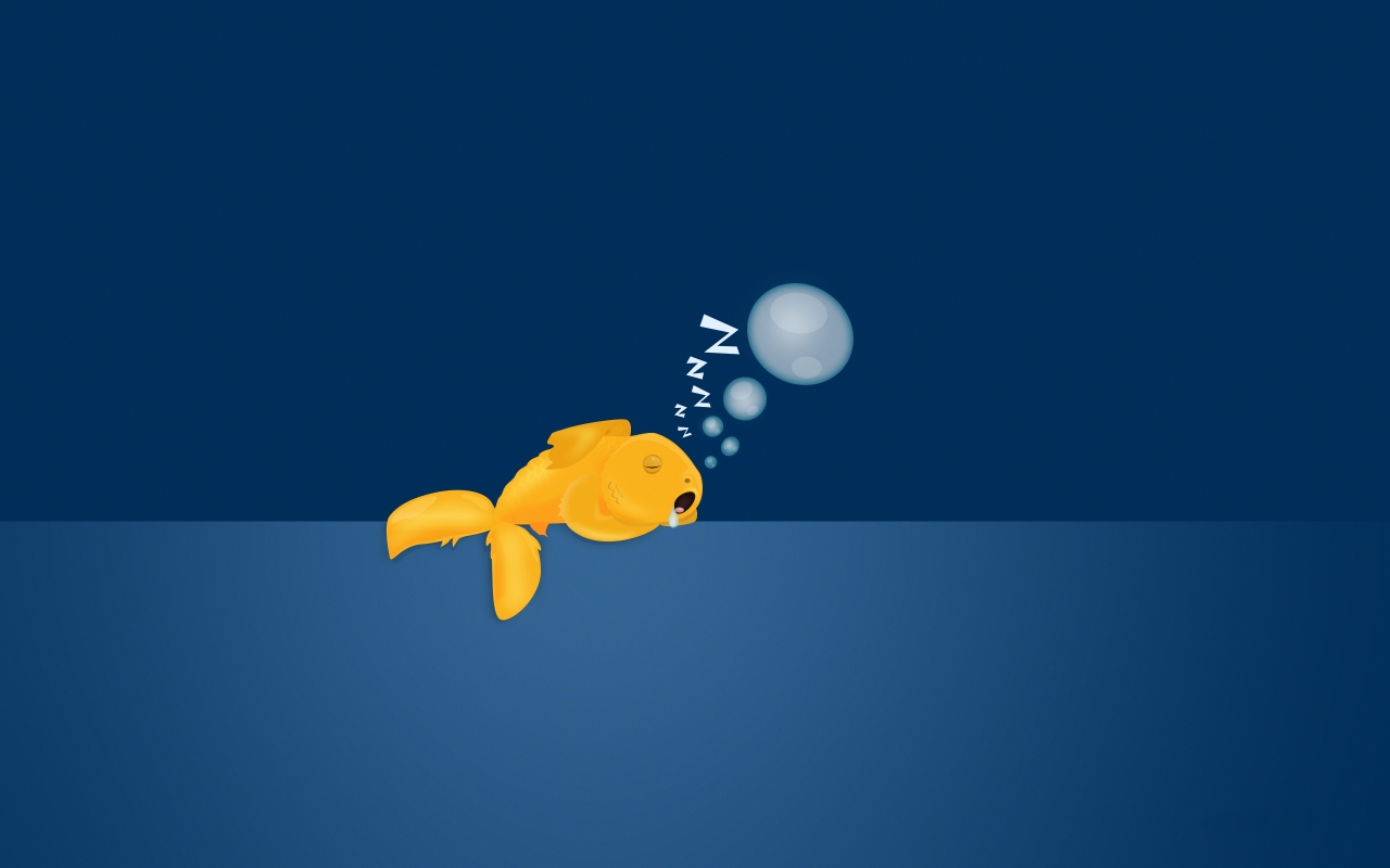 Sad Gold Fish for 1280 x 800 widescreen resolution