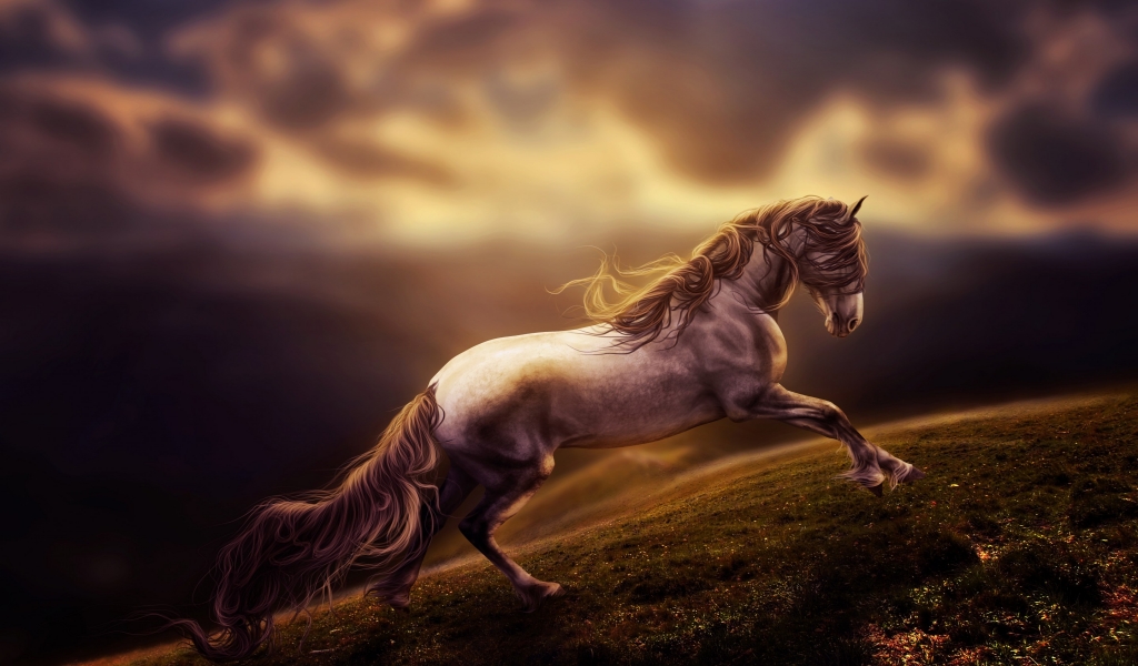 Sad Young Horse for 1024 x 600 widescreen resolution