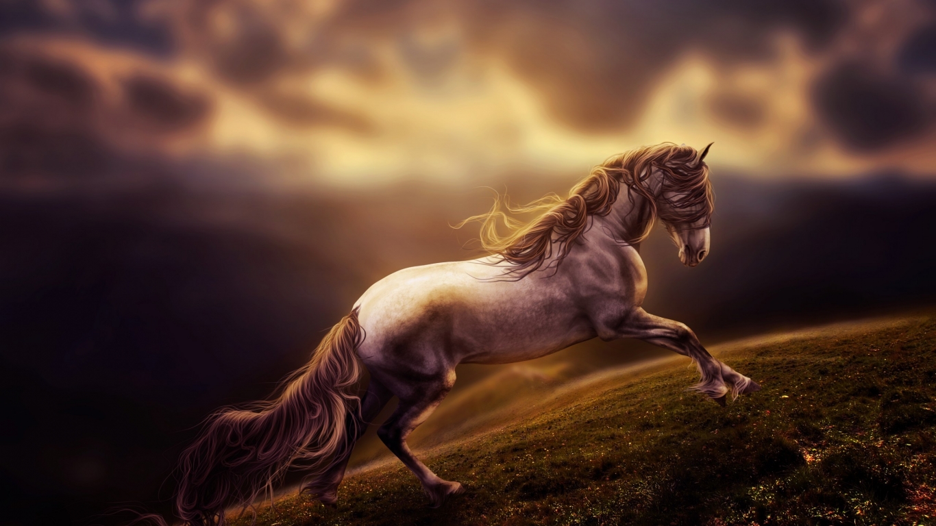 Sad Young Horse for 1366 x 768 HDTV resolution