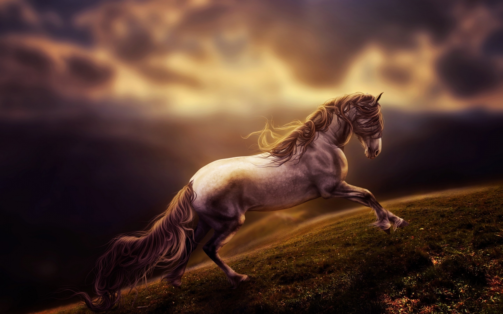 Sad Young Horse for 1680 x 1050 widescreen resolution