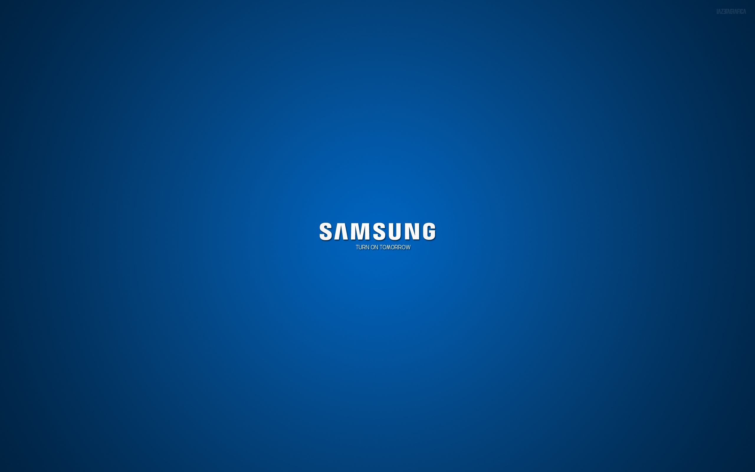 Samsung for 2560 x 1600 widescreen resolution