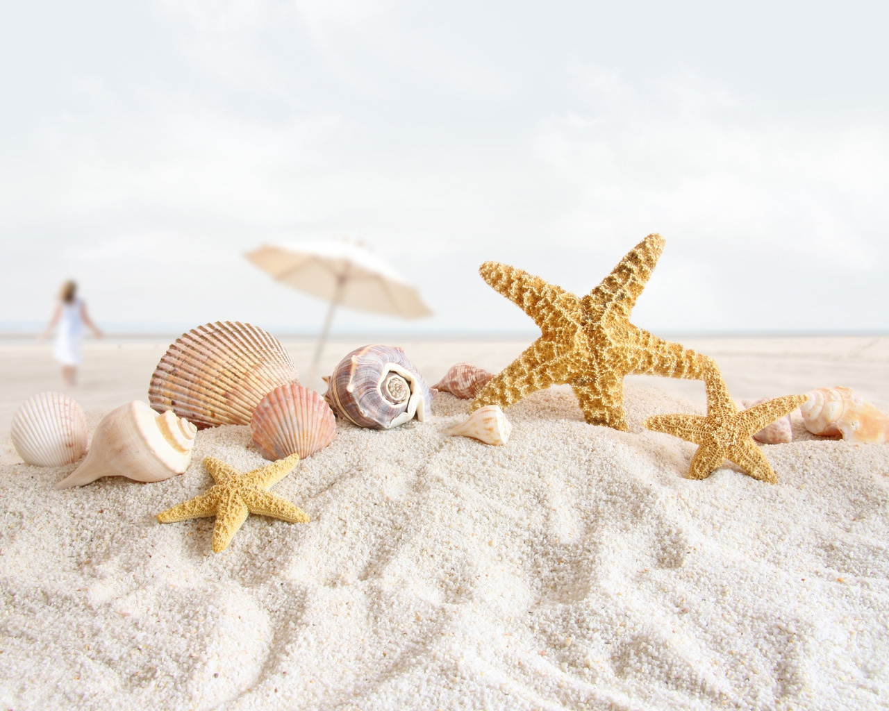 Seashells and Starfish for 1280 x 1024 resolution