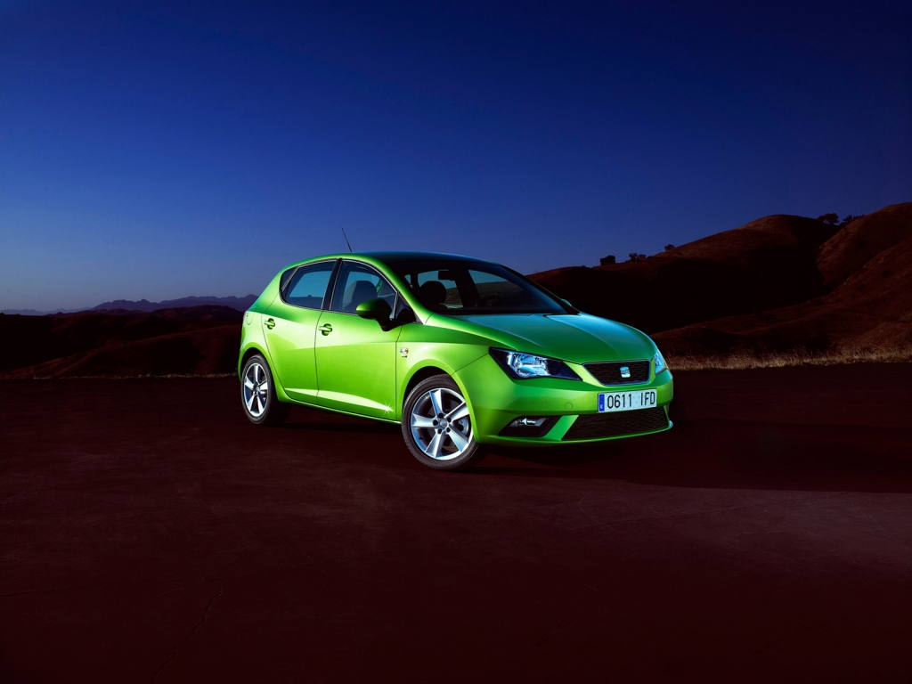 Seat Ibiza 2013 for 1024 x 768 resolution