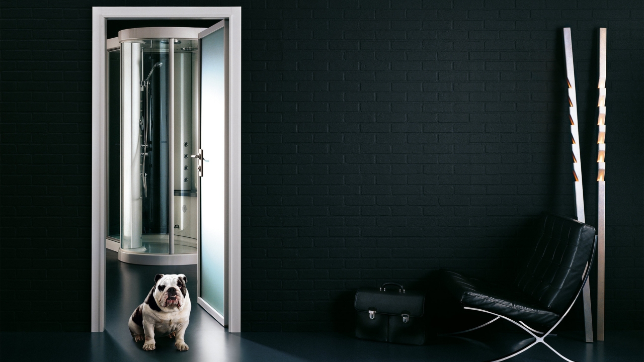 Security Guard Dog for 1280 x 720 HDTV 720p resolution