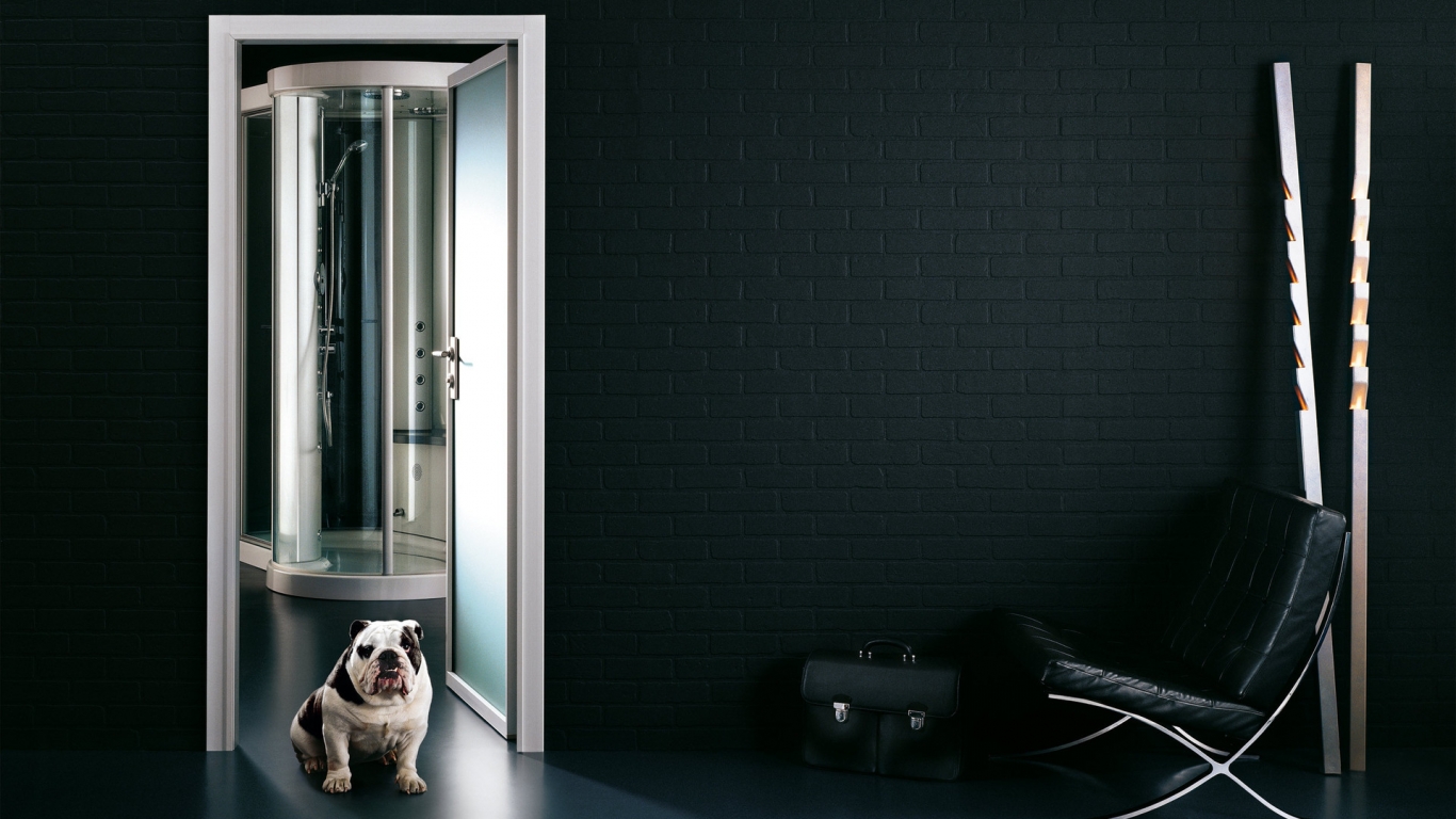 Security Guard Dog for 1366 x 768 HDTV resolution