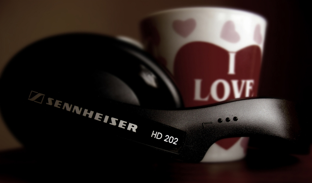 Sennheiser HD 202 for 1024 x 600 widescreen resolution