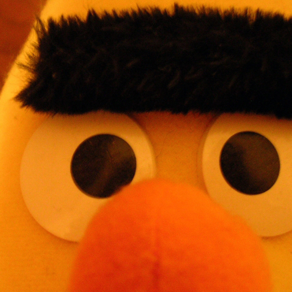 Sesame Street Ernie for 1024 x 1024 iPad resolution