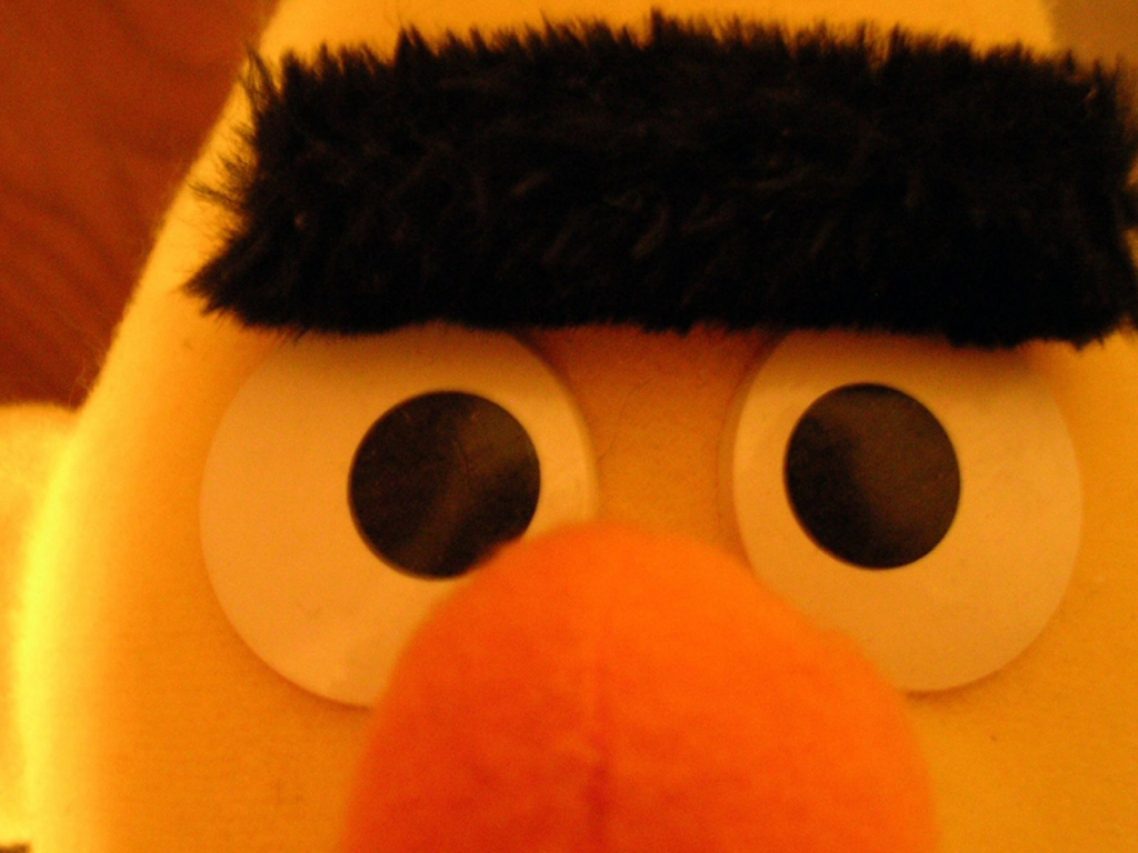 Sesame Street Ernie for 1024 x 768 resolution