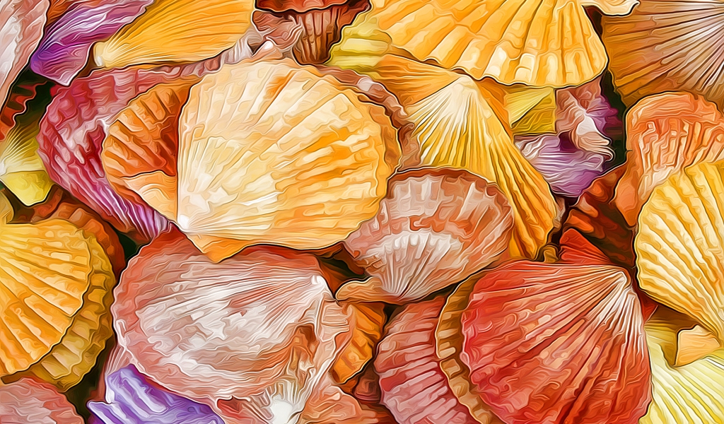 Shells Texture for 1024 x 600 widescreen resolution