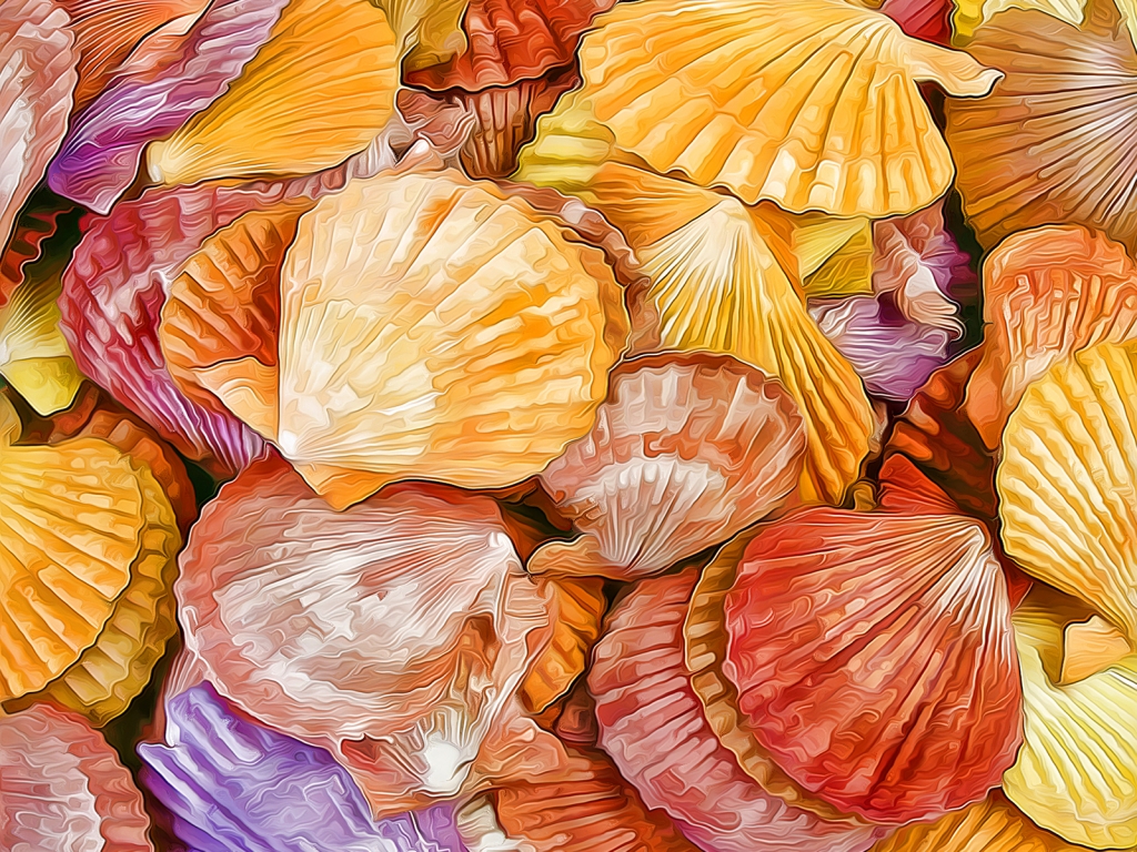 Shells Texture for 1024 x 768 resolution