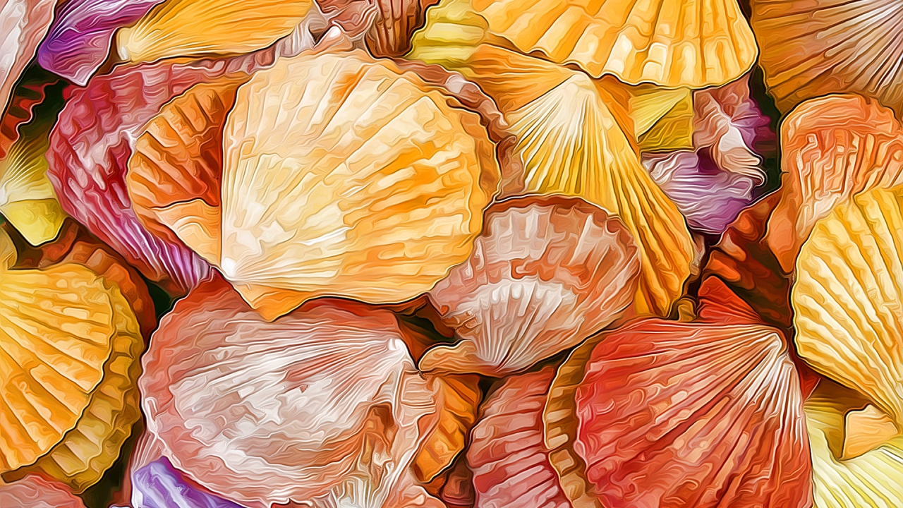 Shells Texture for 1280 x 720 HDTV 720p resolution
