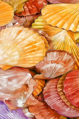 Shells Texture for 320 x 480 iPhone resolution
