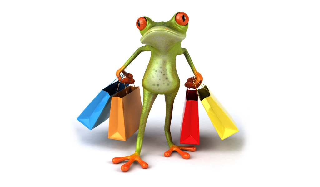 Shopaholic Frog for 1024 x 600 widescreen resolution