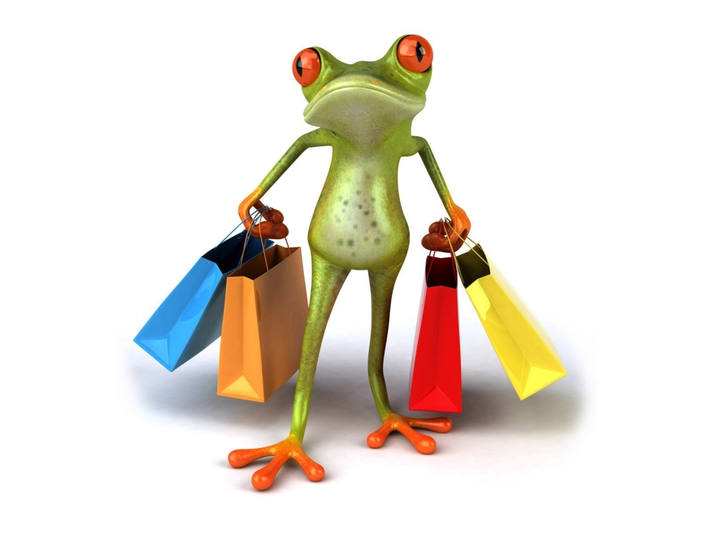 Shopaholic Frog for 1024 x 768 resolution