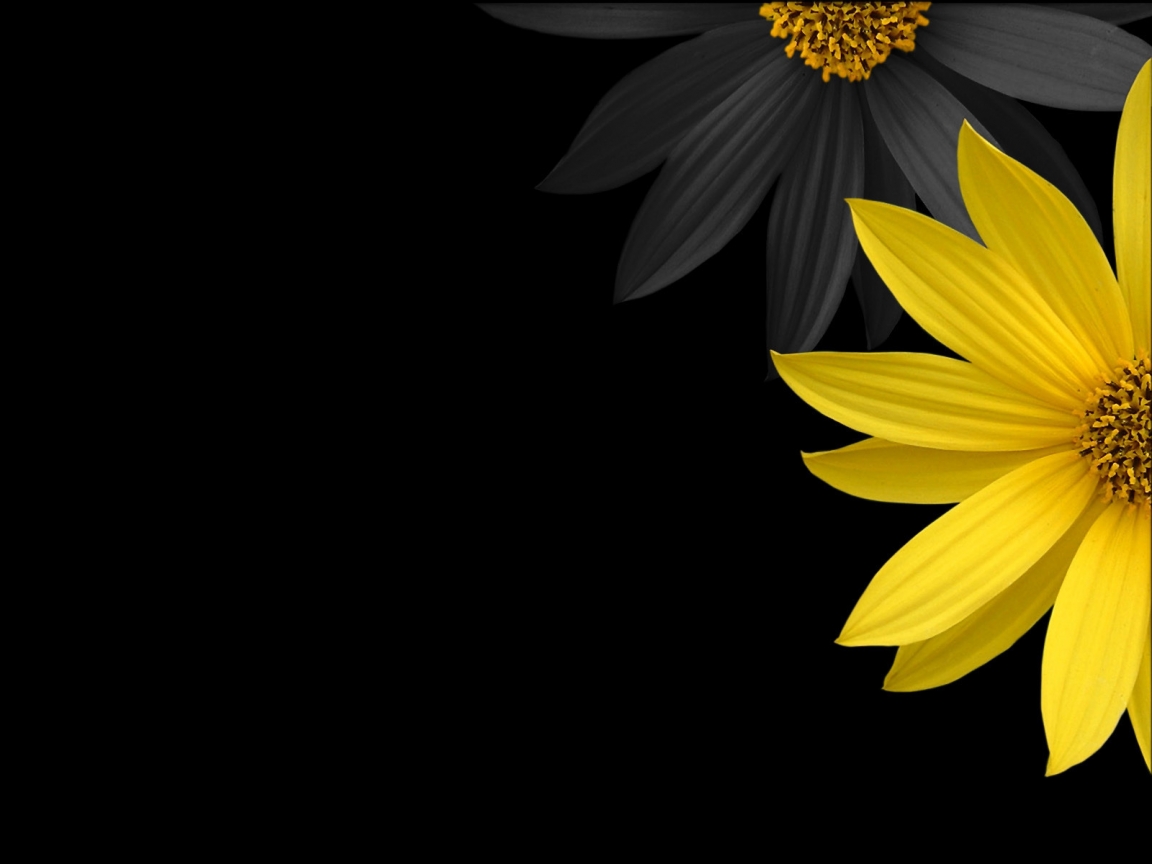 Simple Flower for 1152 x 864 resolution