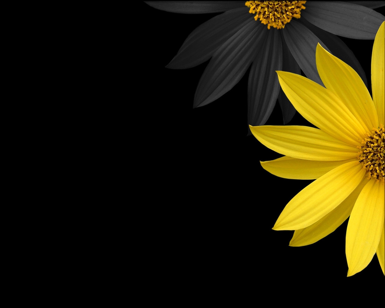 Simple Flower for 1280 x 1024 resolution