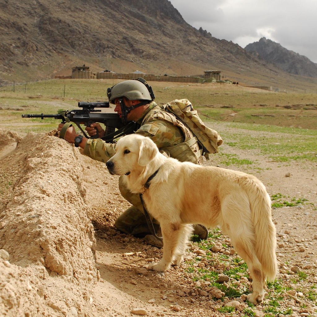 Soldier and Labrador for 1024 x 1024 iPad resolution