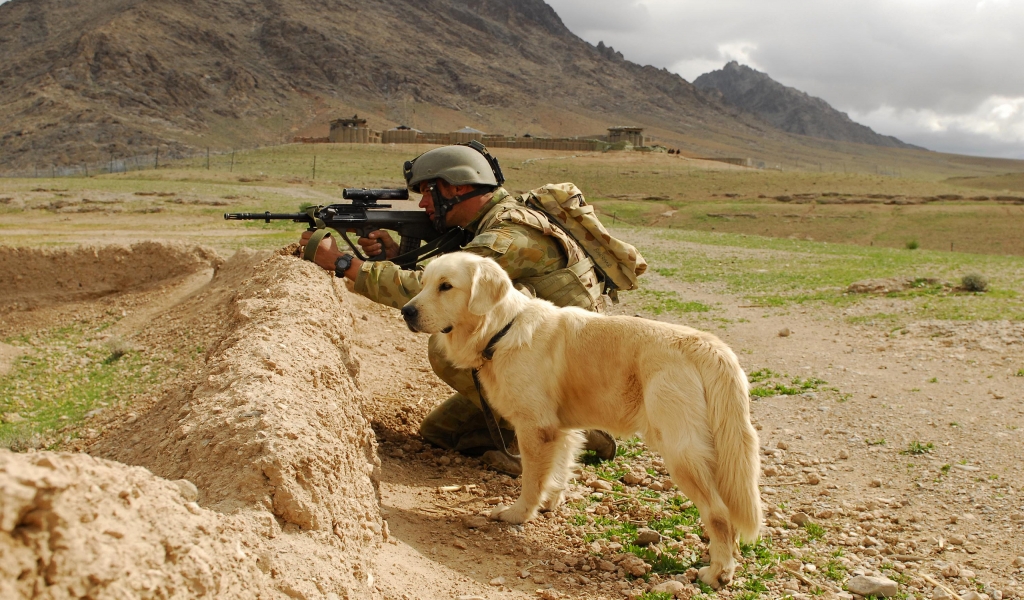 Soldier and Labrador for 1024 x 600 widescreen resolution