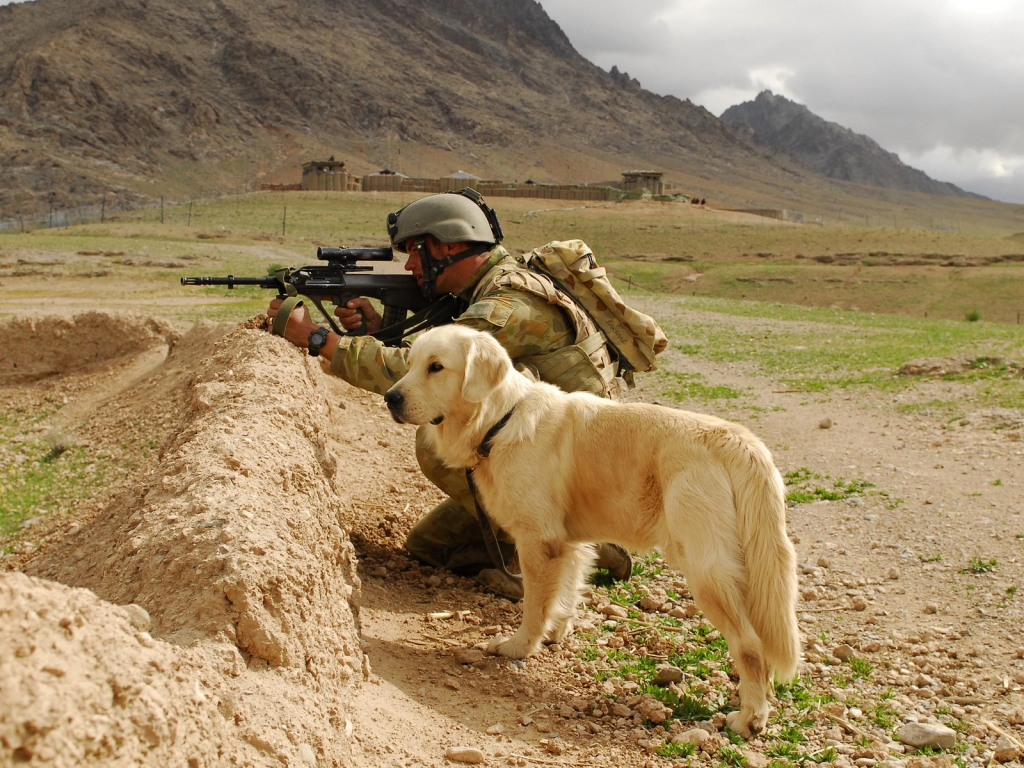 Soldier and Labrador for 1024 x 768 resolution