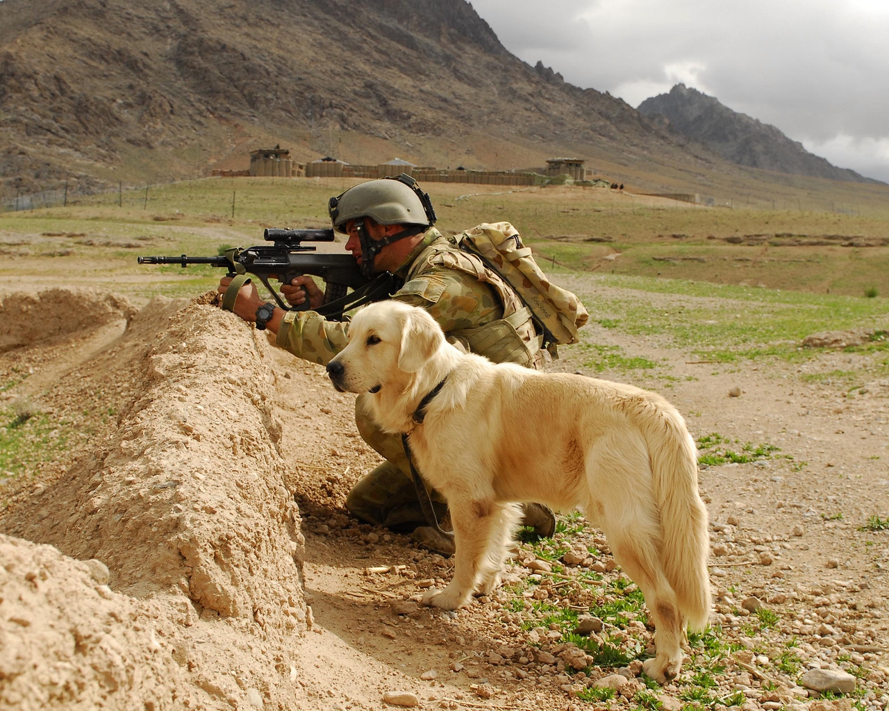 Soldier and Labrador for 1280 x 1024 resolution