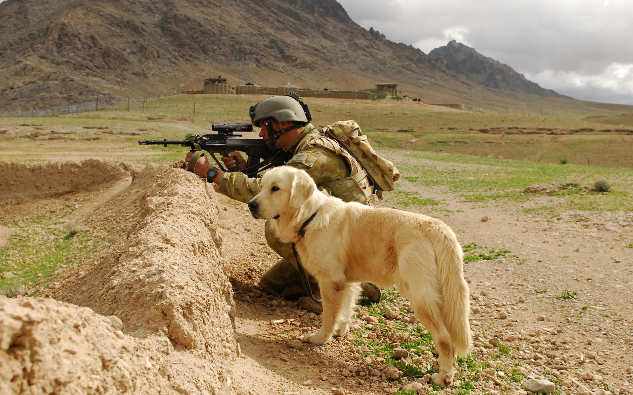 Soldier and Labrador for 1280 x 800 widescreen resolution