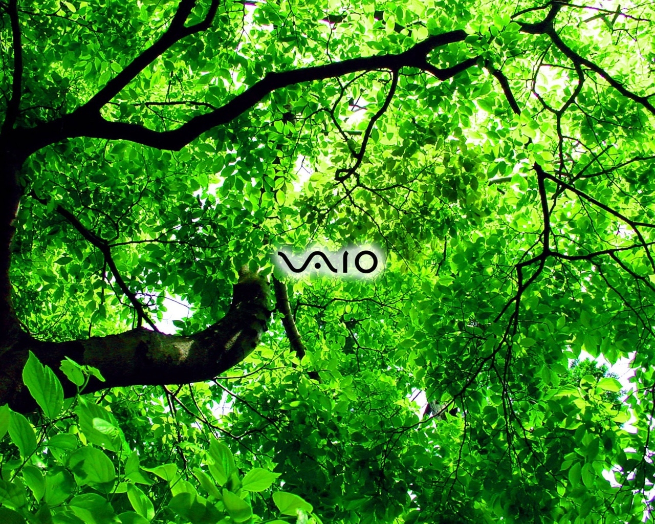 Sony Vaio green for 1280 x 1024 resolution