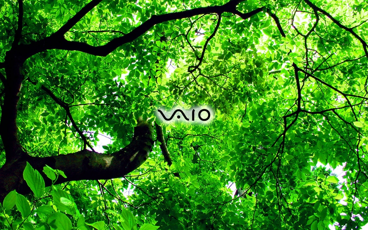Sony Vaio green for 1280 x 800 widescreen resolution