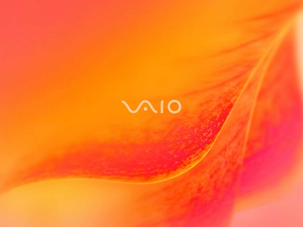 Sony Vaio Orange blossom for 1024 x 768 resolution