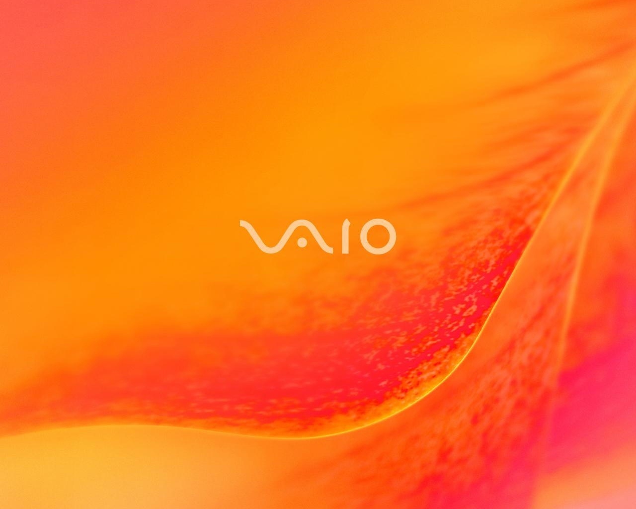 Sony Vaio Orange blossom for 1280 x 1024 resolution