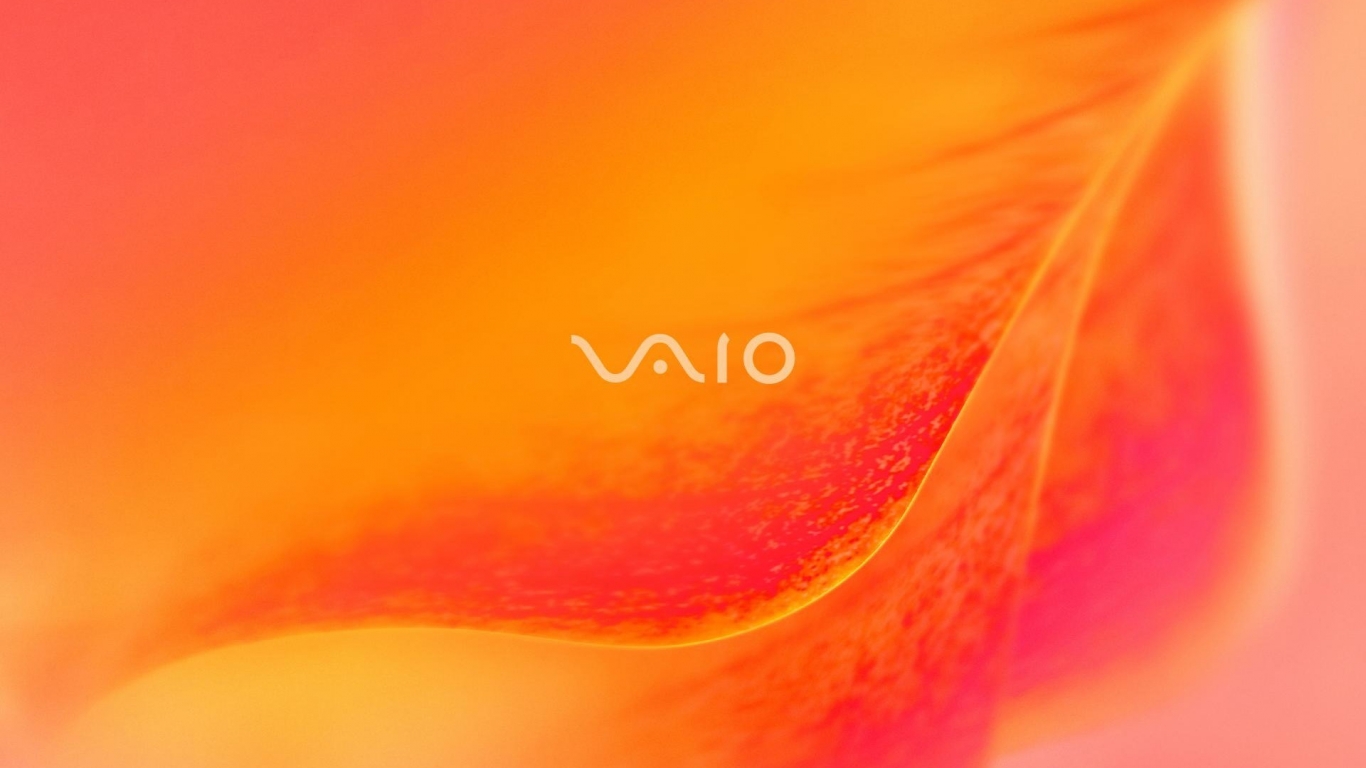Sony Vaio Orange blossom for 1366 x 768 HDTV resolution