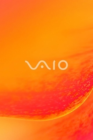 Sony Vaio Orange blossom for 320 x 480 iPhone resolution