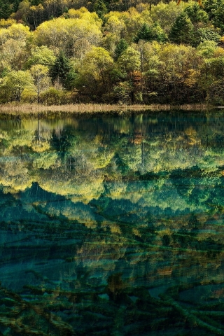Spectacular Lake Reflection for 320 x 480 iPhone resolution