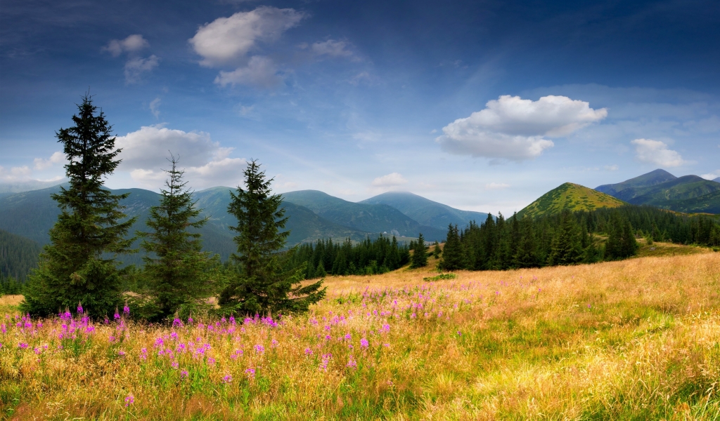 Spring Field Landscape for 1024 x 600 widescreen resolution