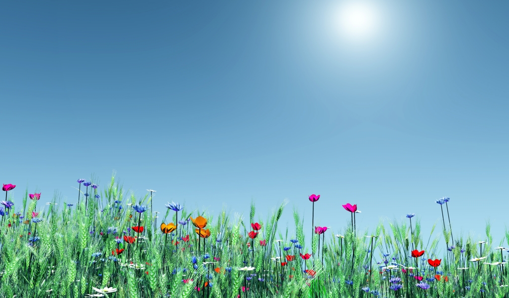 Spring Flowers for all for 1024 x 600 widescreen resolution