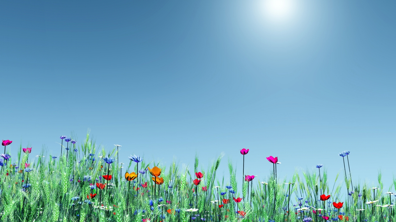 Spring Flowers for all for 1366 x 768 HDTV resolution