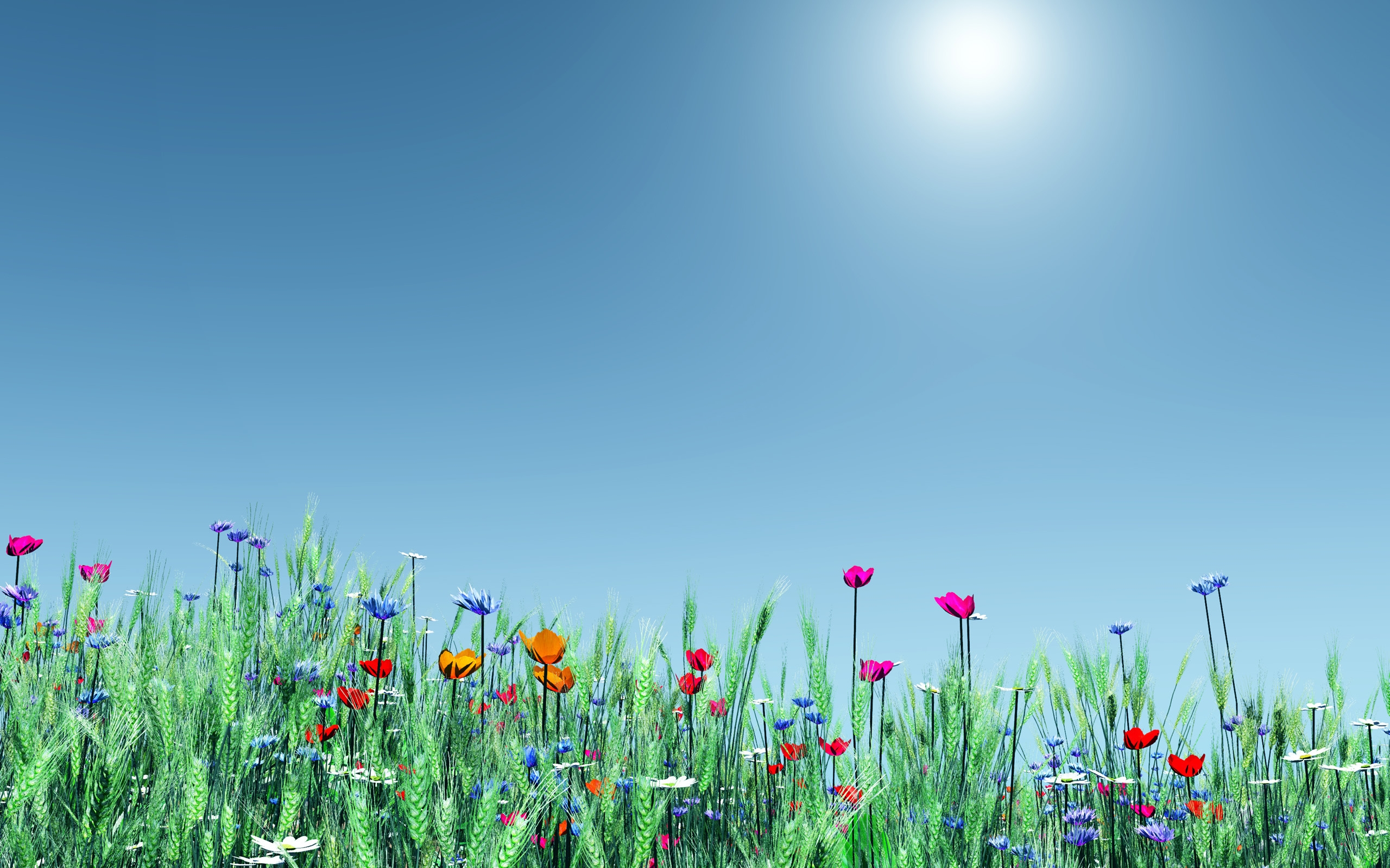 Spring Flowers for all for 2560 x 1600 widescreen resolution