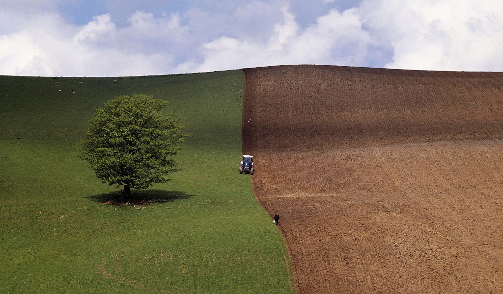 Spring Ploughing for 1024 x 600 widescreen resolution